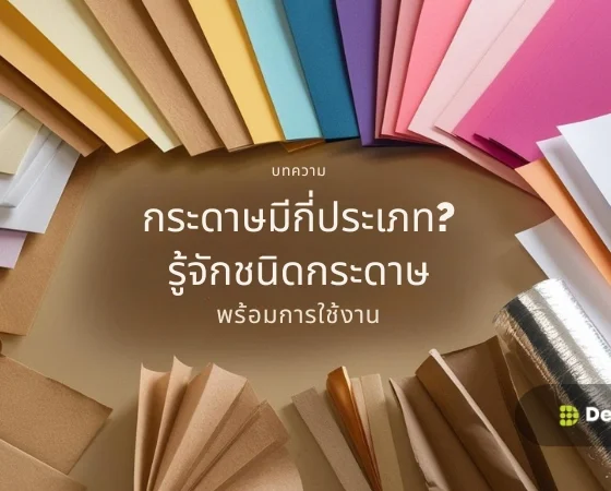 กระดาษมีกี่ประเภท? รู้จักชนิดกระดาษ พร้อมการใช้งาน